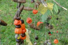2011-11-04-15-18-53