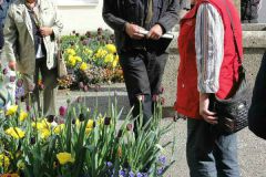 2011-04-30-08-52-48