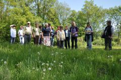 DSC_3771