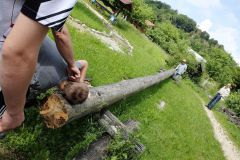2016-06-04_Wiesmuehl_kks_DSCF0426