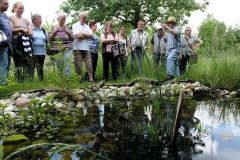 2016-06-04_Wiesmuehl_kks_DSCF0465