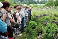 2016-06-04_Wiesmuehl_kks_DSCF0496