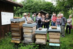 2016-06-04_Wiesmuehl_kks_DSCF0579
