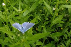2016-06-04_Wiesmuehl_kks_DSCF0630