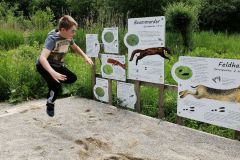 2016-06-04_Wiesmuehl_kks_DSCF0661