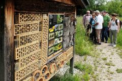 2016-06-04_Wiesmuehl_kks_DSCF0666