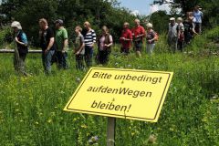 2016-06-04_Wiesmuehl_kks_DSCF0699