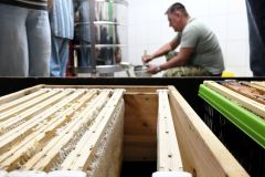 2016-06-04_Wiesmuehl_kks_DSCF0728